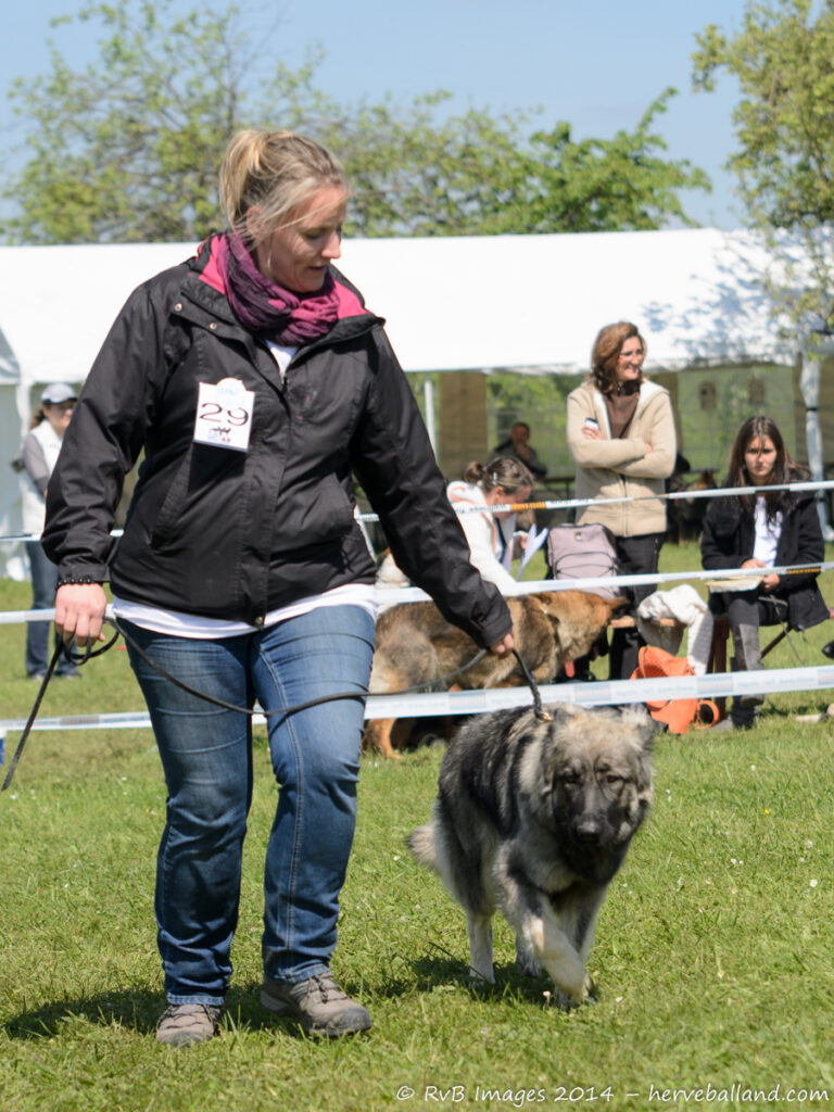 NE Boersch 2014-286