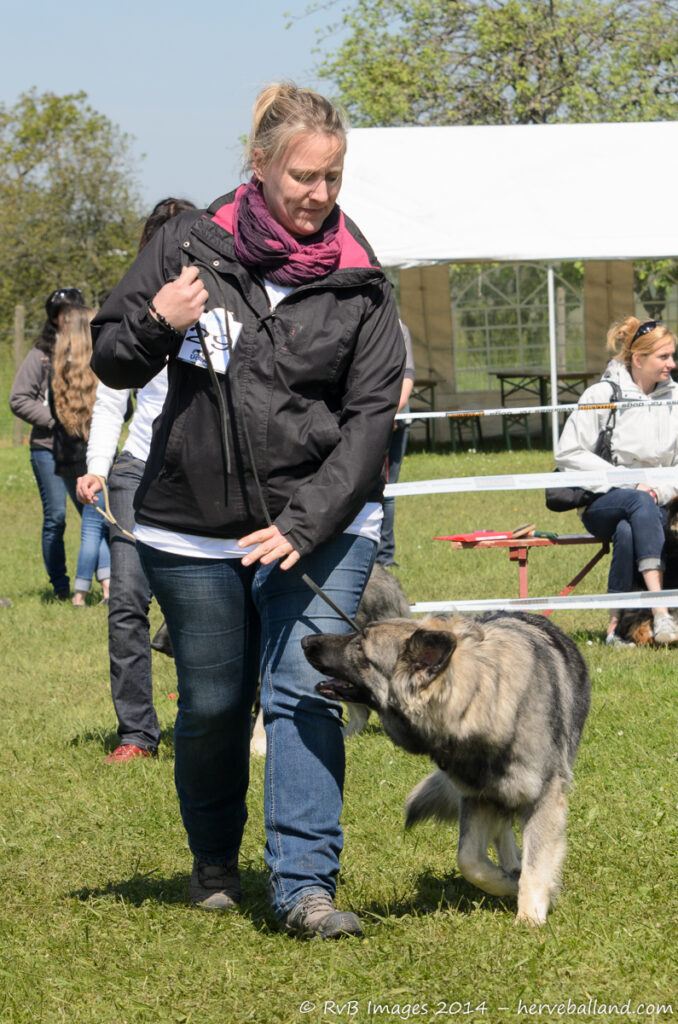 NE Boersch 2014-287