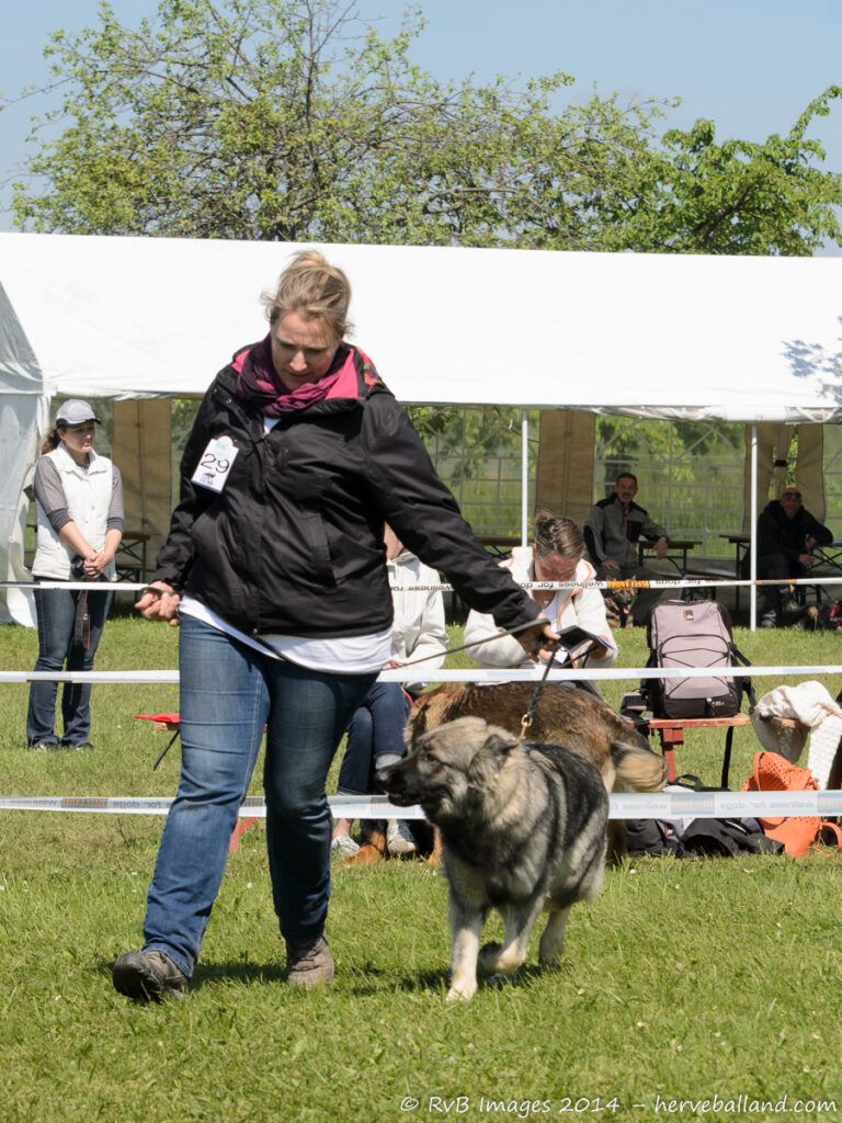 NE Boersch 2014-288