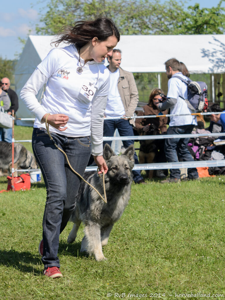 NE Boersch 2014-289