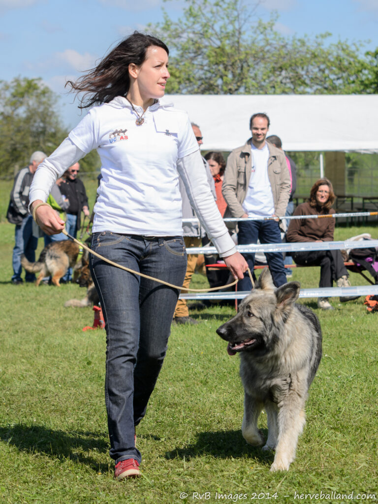 NE Boersch 2014-290