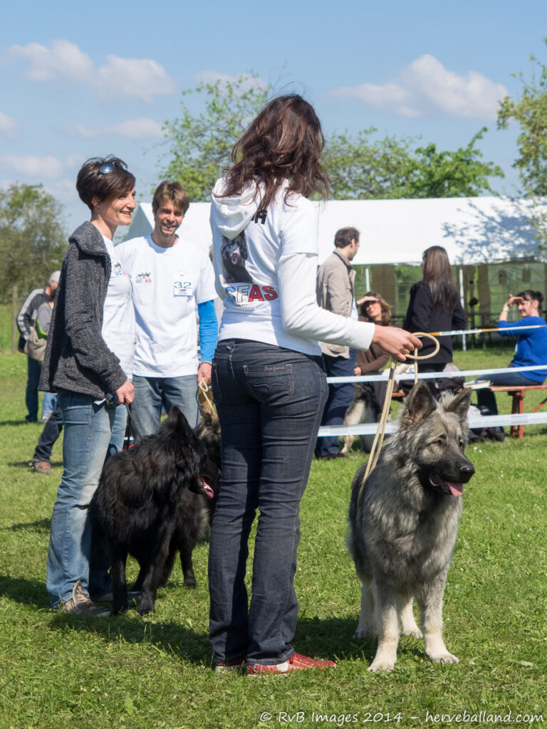 NE Boersch 2014-291