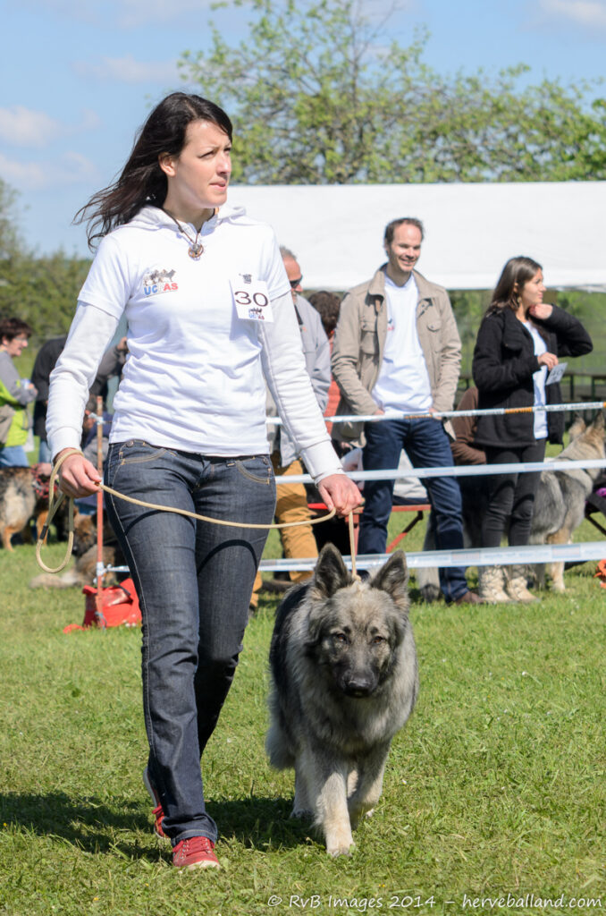 NE Boersch 2014-292