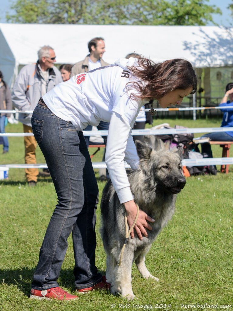 NE Boersch 2014-293
