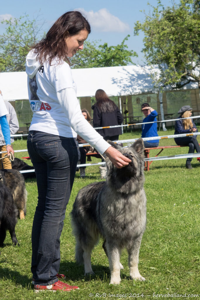 NE Boersch 2014-294