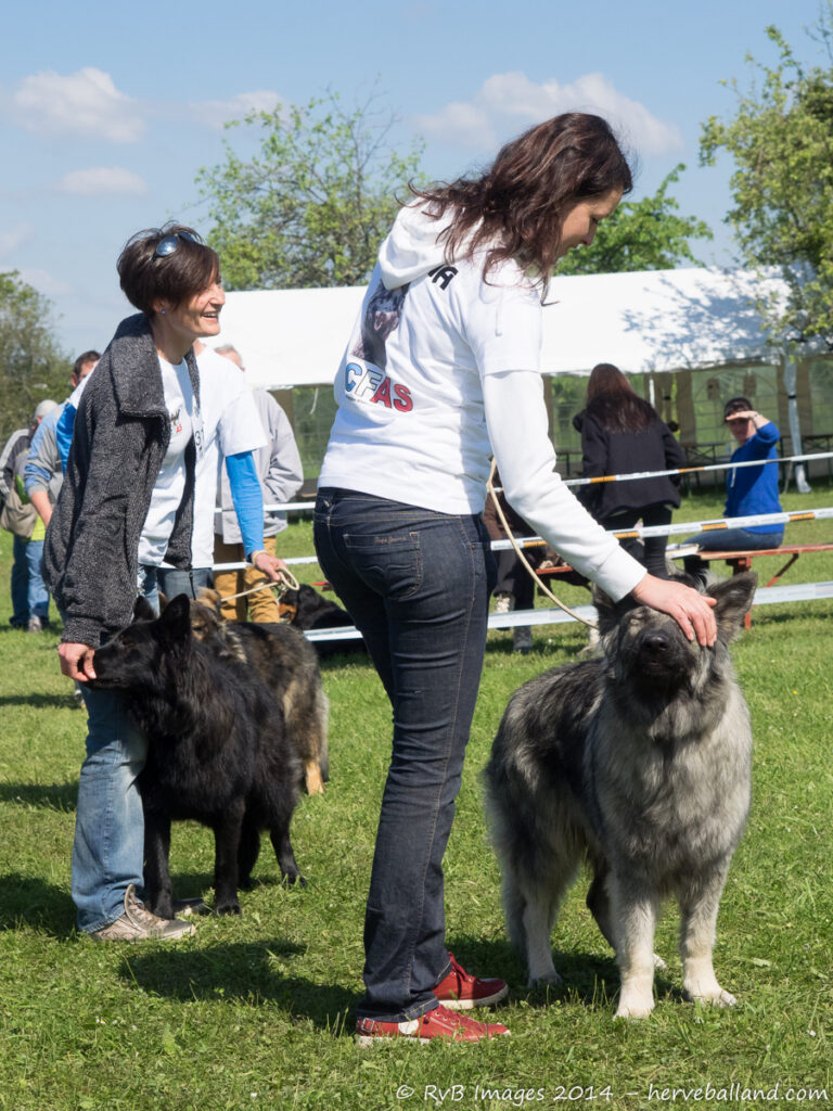NE Boersch 2014-295