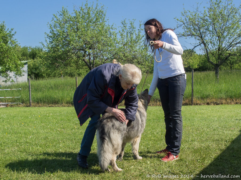 NE Boersch 2014-298