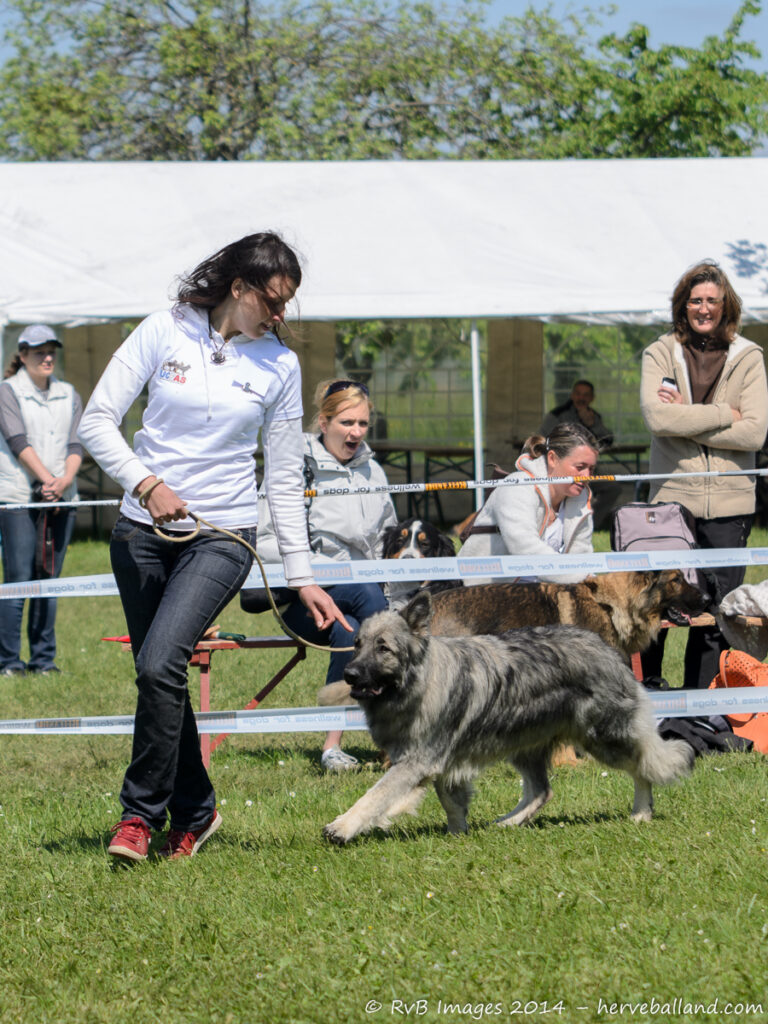 NE Boersch 2014-310