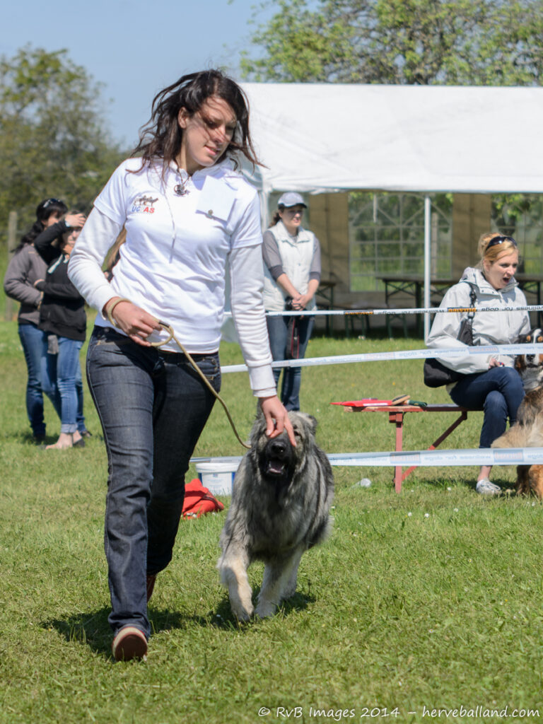 NE Boersch 2014-311