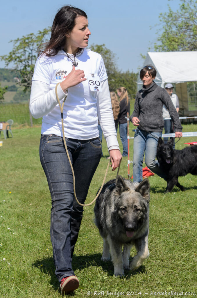 NE Boersch 2014-312