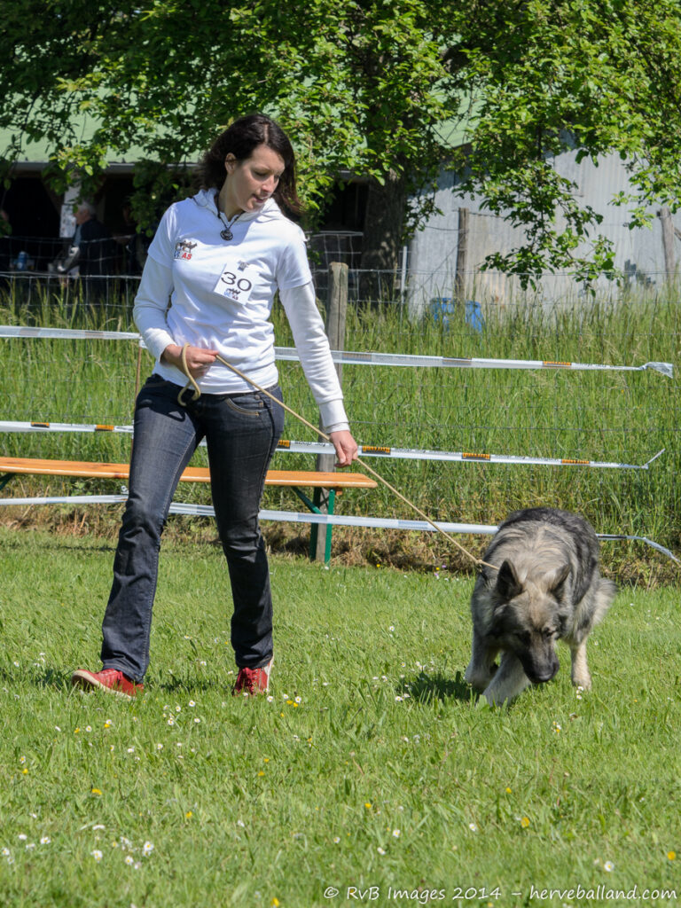 NE Boersch 2014-313
