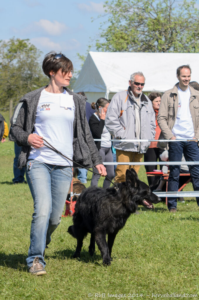 NE Boersch 2014-314