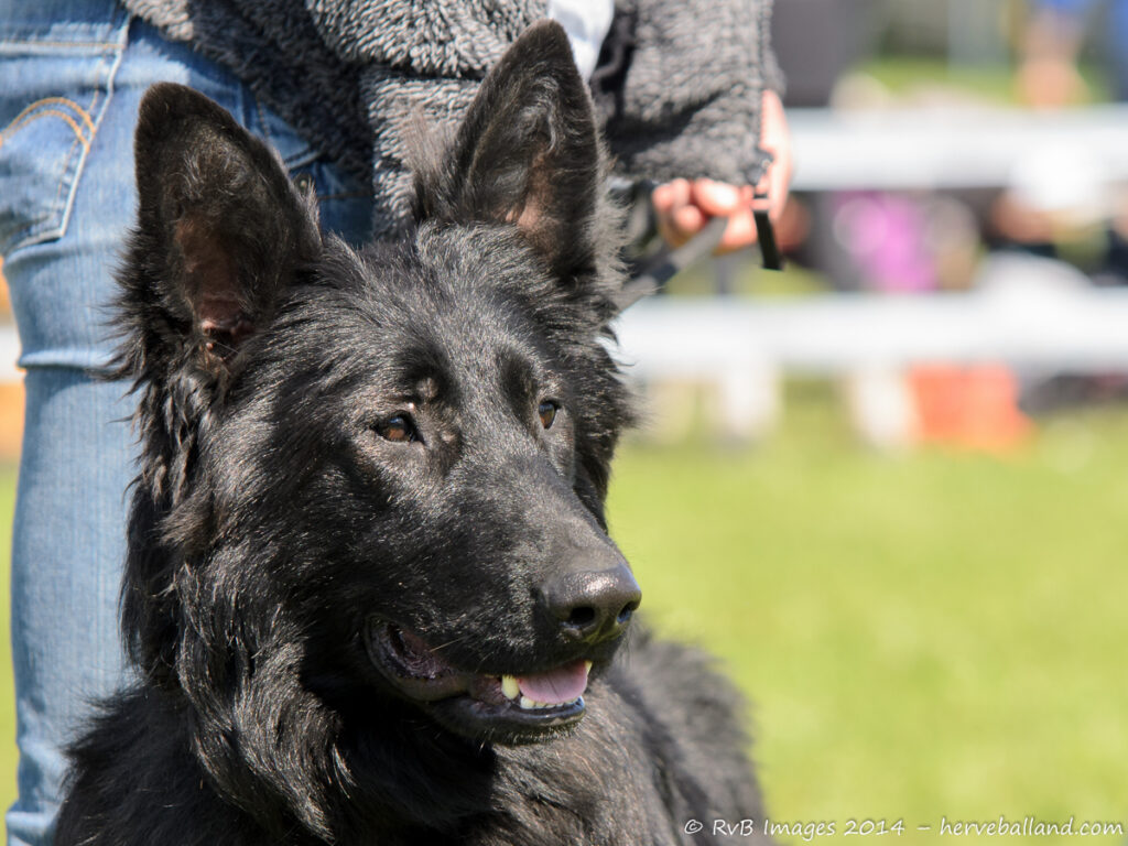 NE Boersch 2014-315