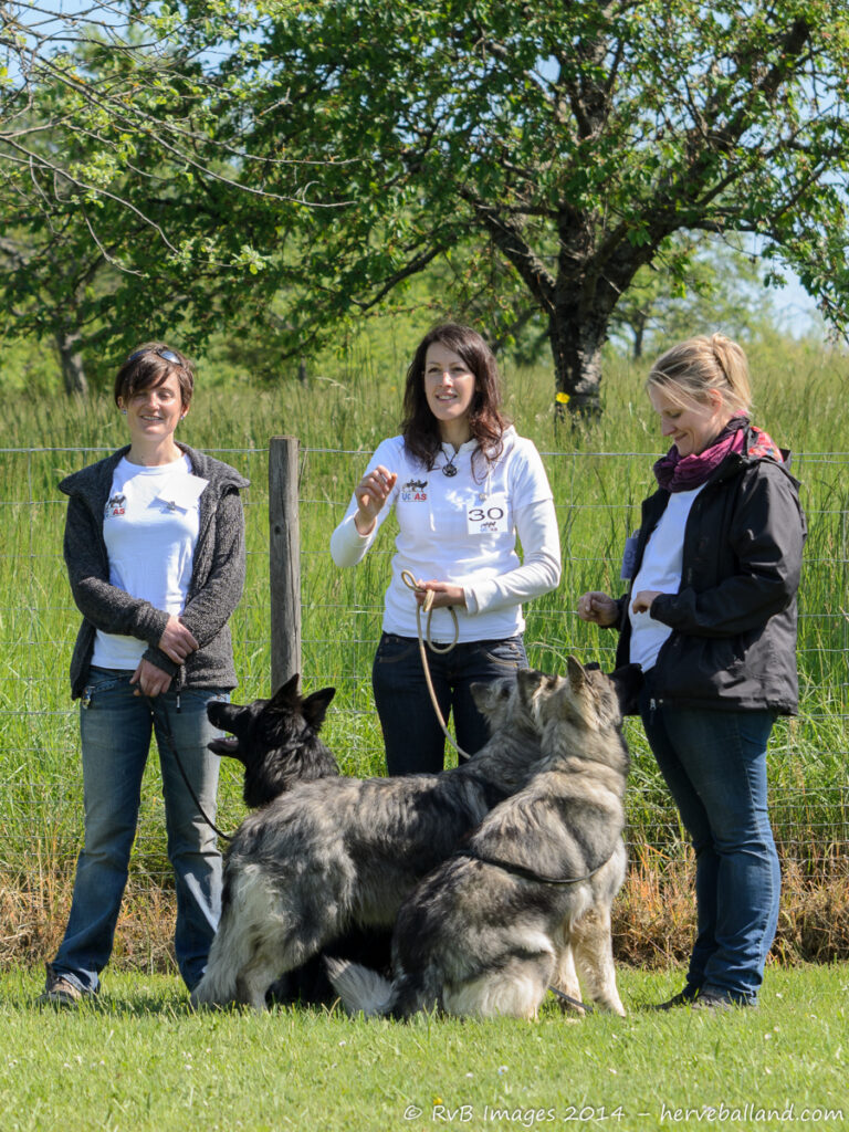 NE Boersch 2014-324