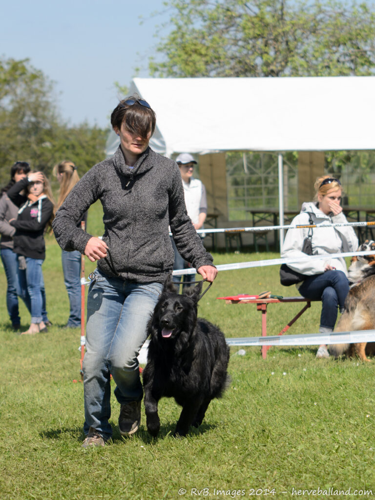 NE Boersch 2014-325