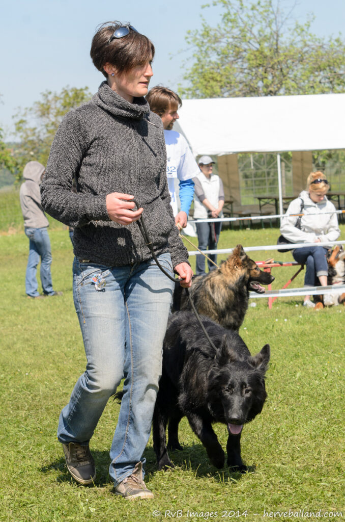 NE Boersch 2014-328