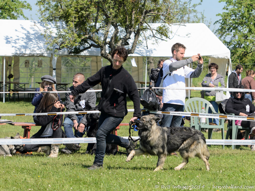 NE Boersch 2014-330