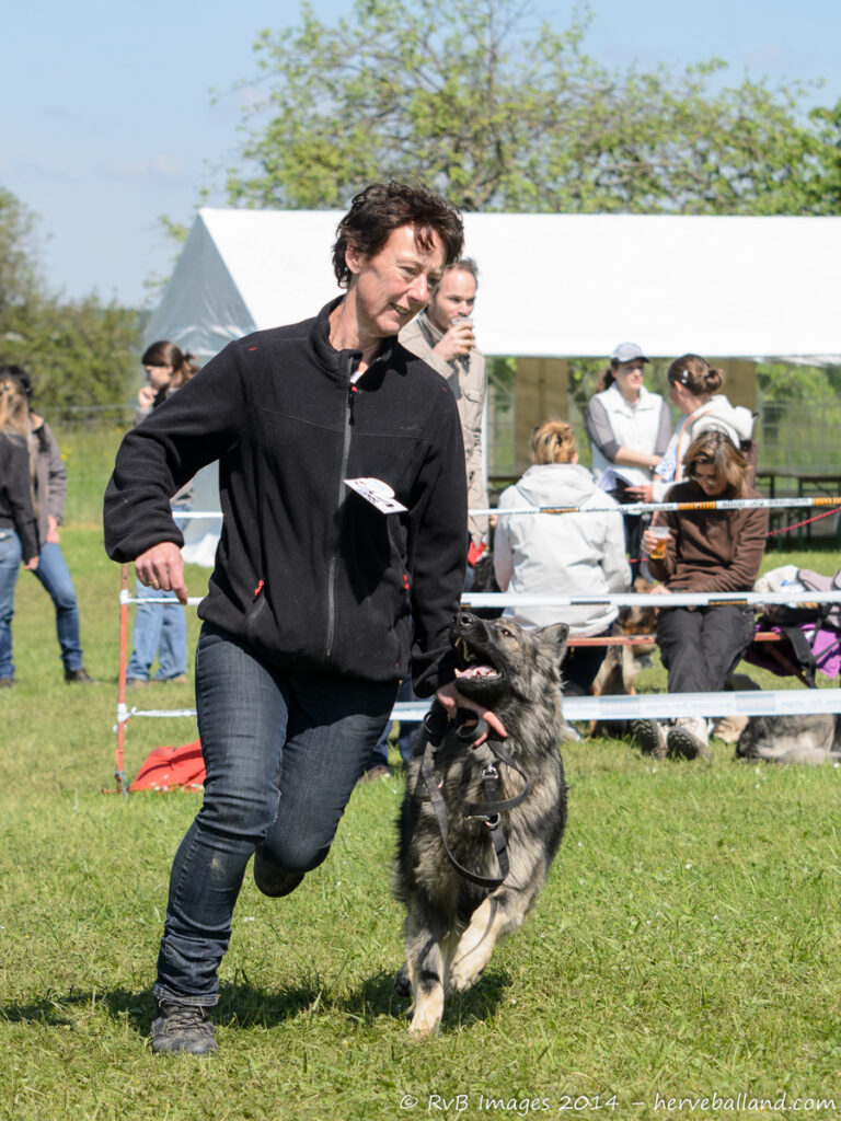 NE Boersch 2014-331
