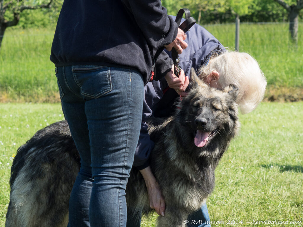 NE Boersch 2014-333