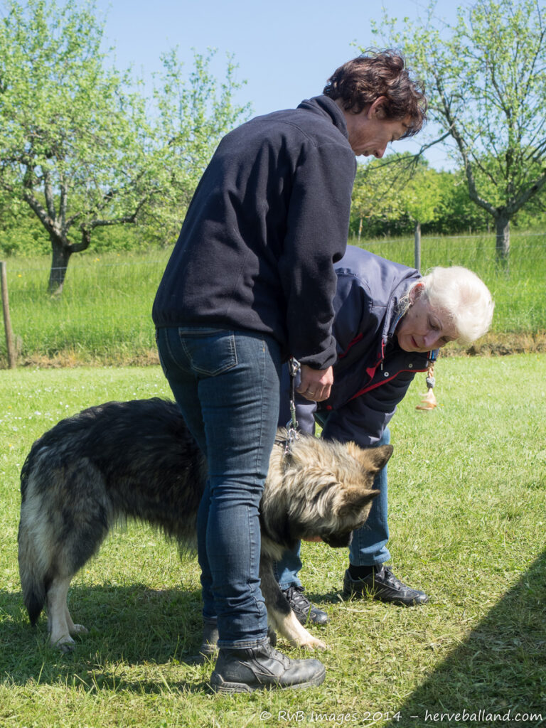NE Boersch 2014-335