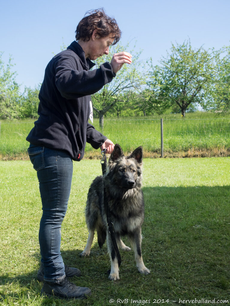 NE Boersch 2014-337
