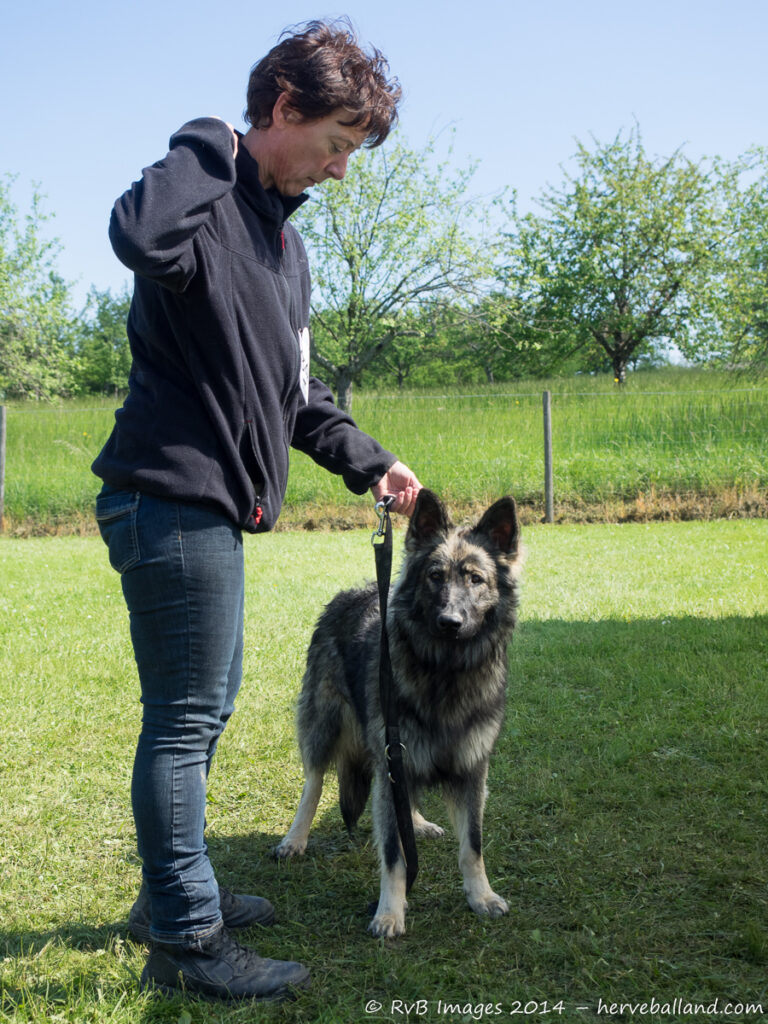 NE Boersch 2014-338