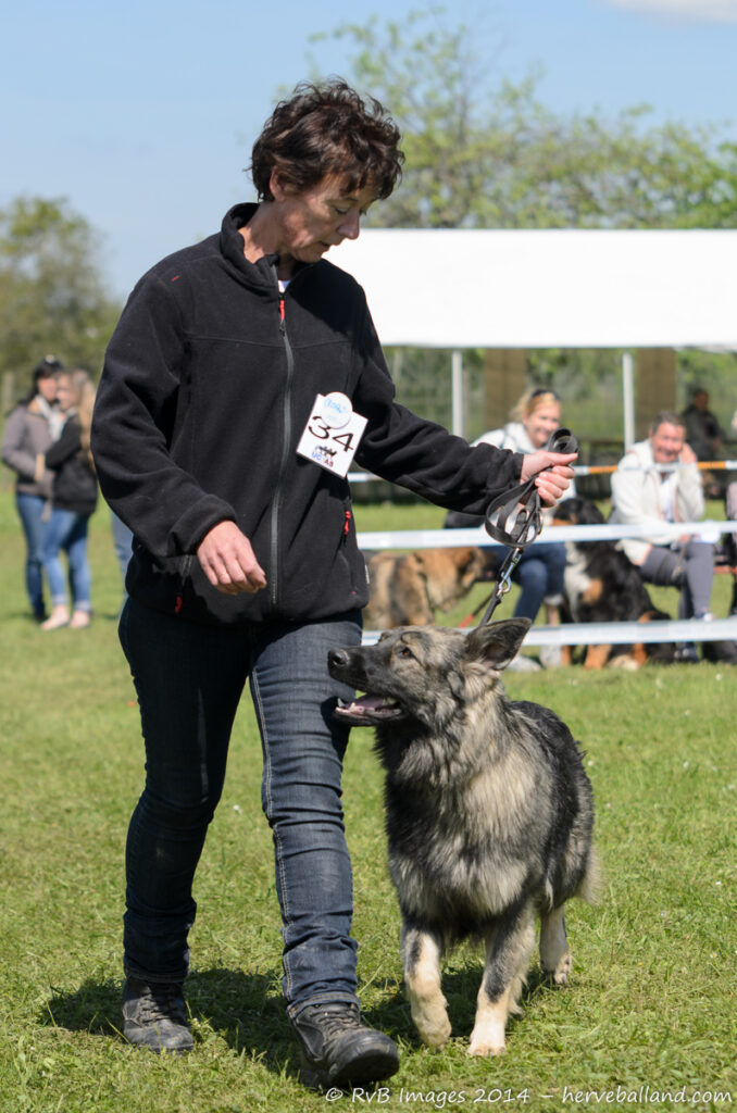 NE Boersch 2014-344