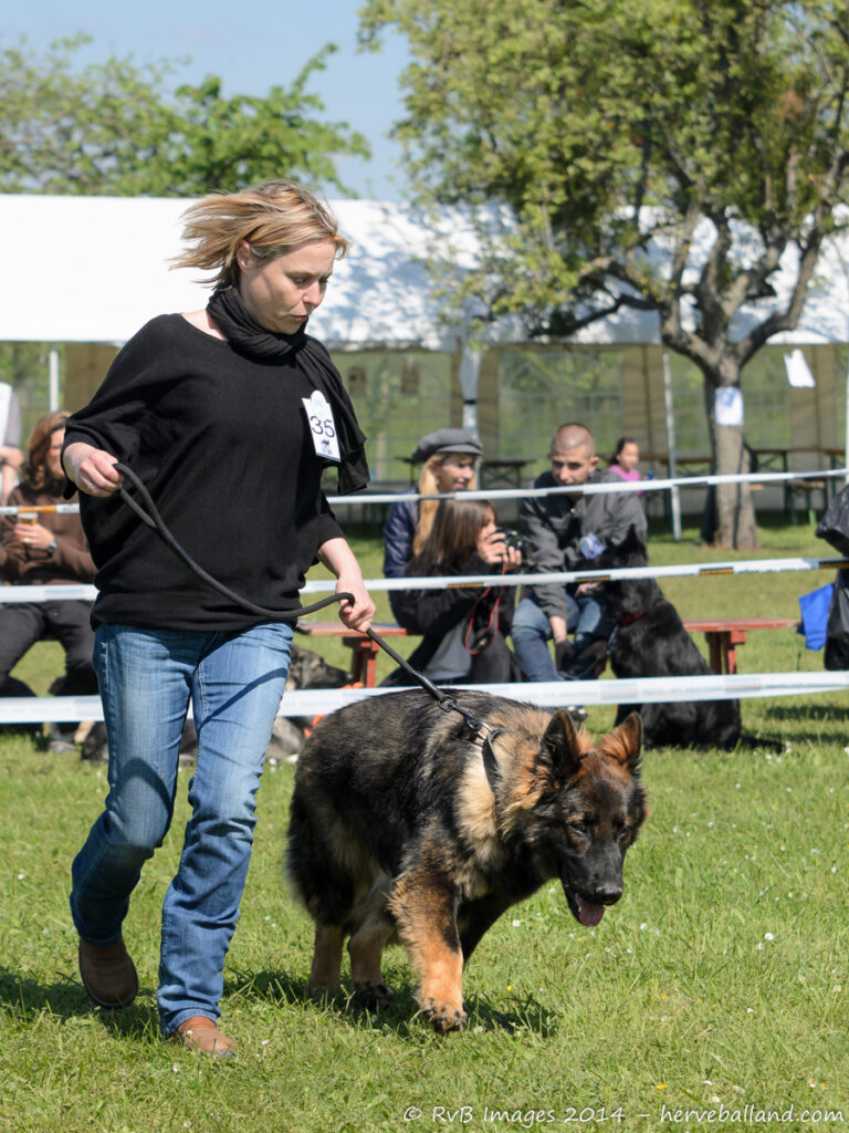 NE Boersch 2014-345