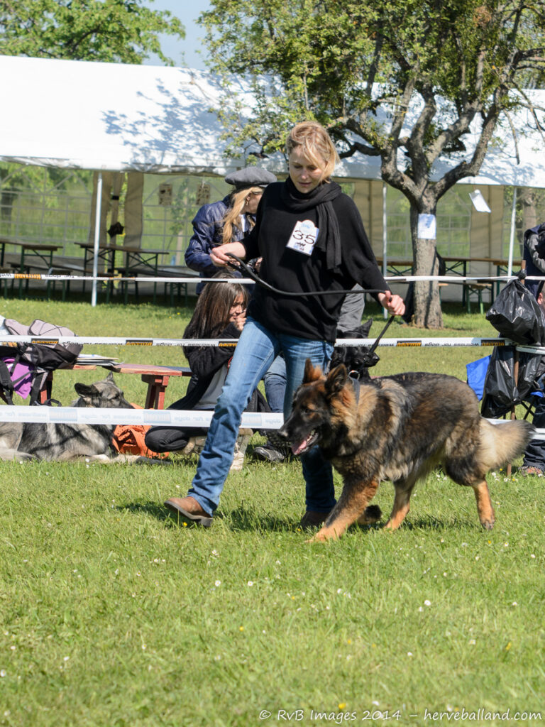 NE Boersch 2014-347