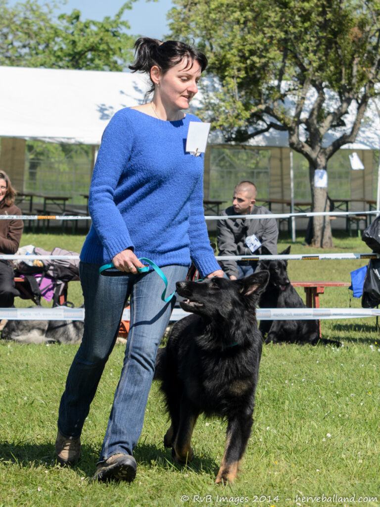 NE Boersch 2014-364