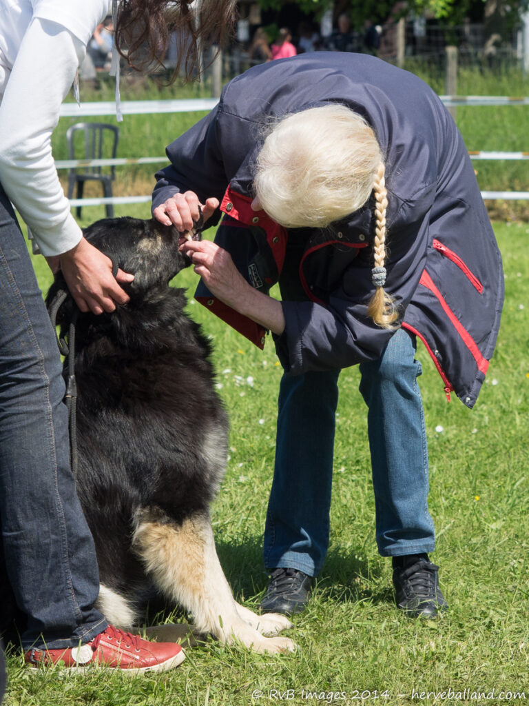 NE Boersch 2014-379