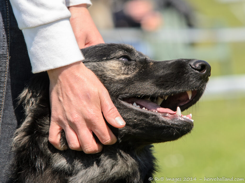 NE Boersch 2014-381