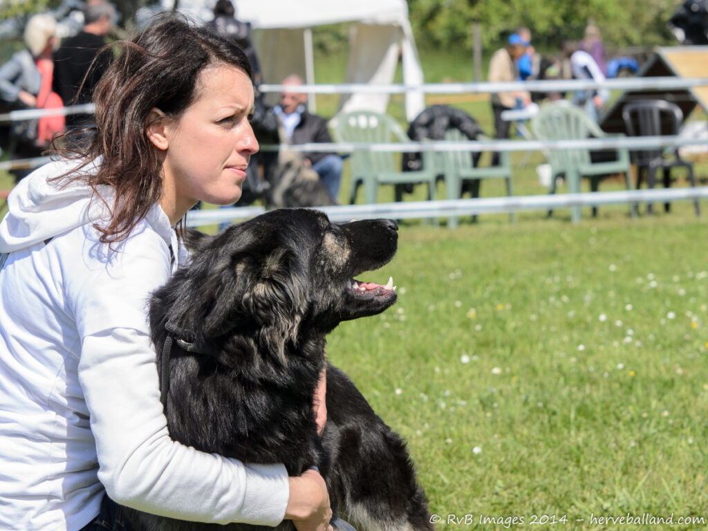 NE Boersch 2014-385
