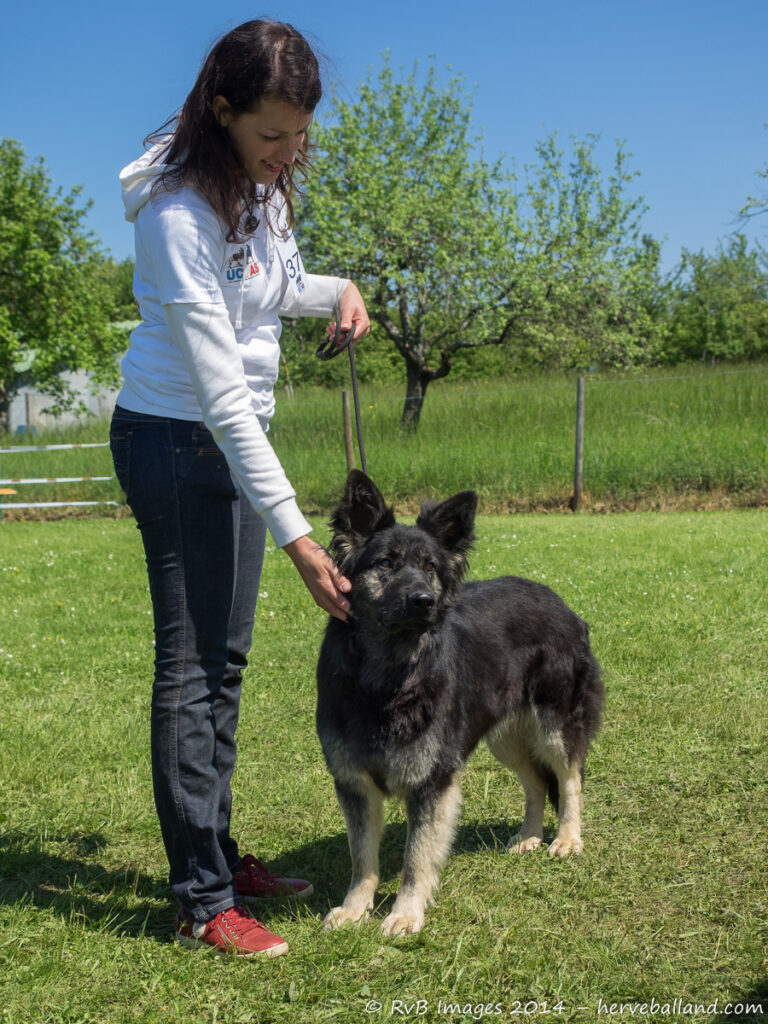 NE Boersch 2014-387