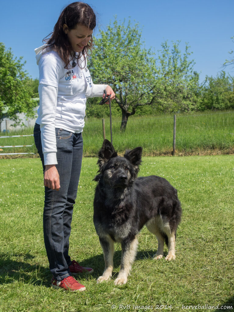 NE Boersch 2014-388