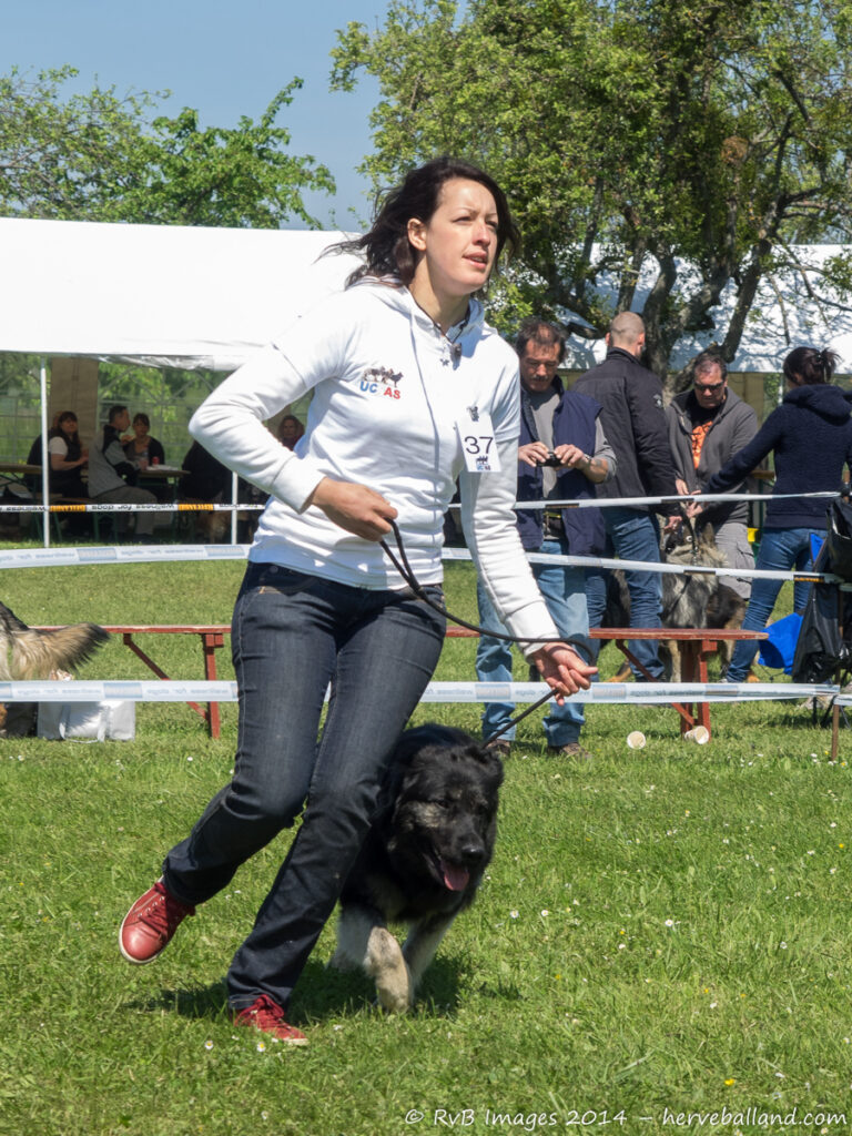 NE Boersch 2014-394