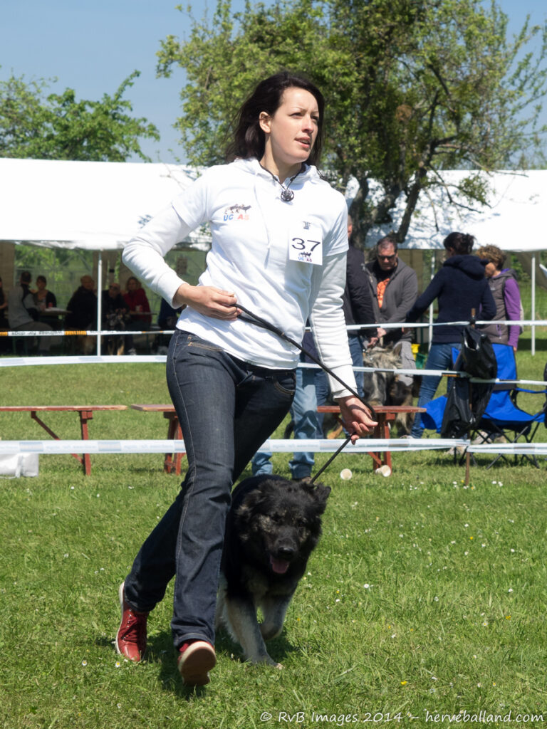 NE Boersch 2014-395
