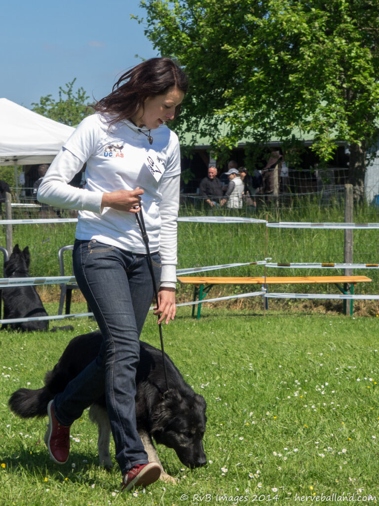 NE Boersch 2014-397