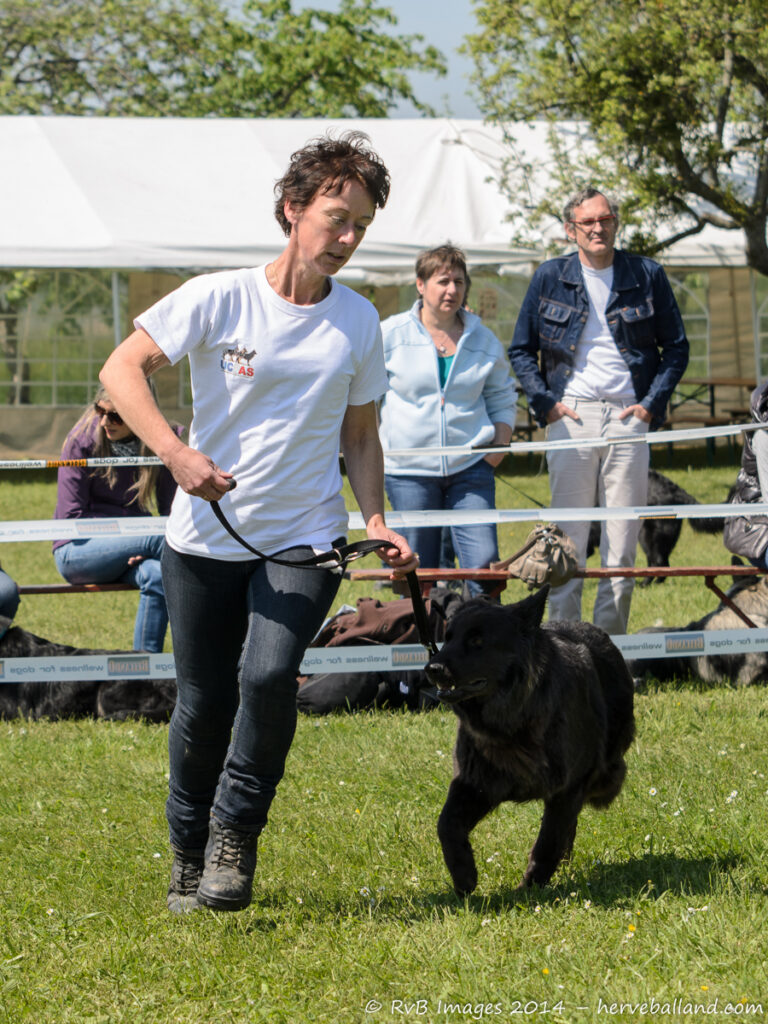 NE Boersch 2014-408