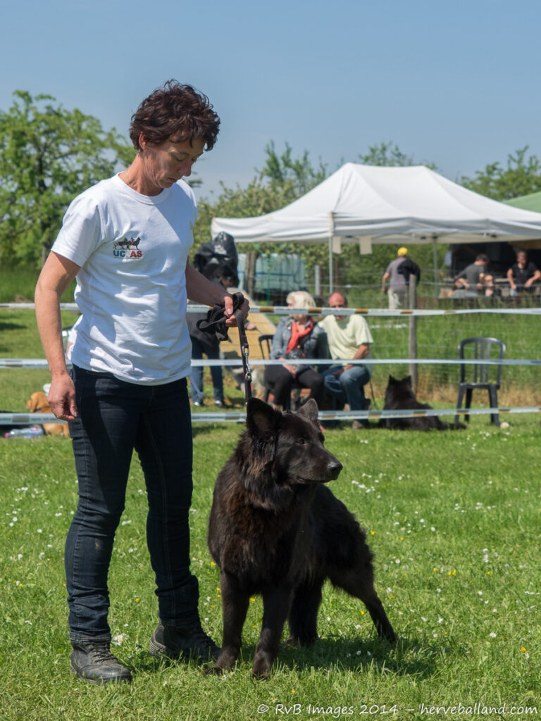 NE Boersch 2014-409