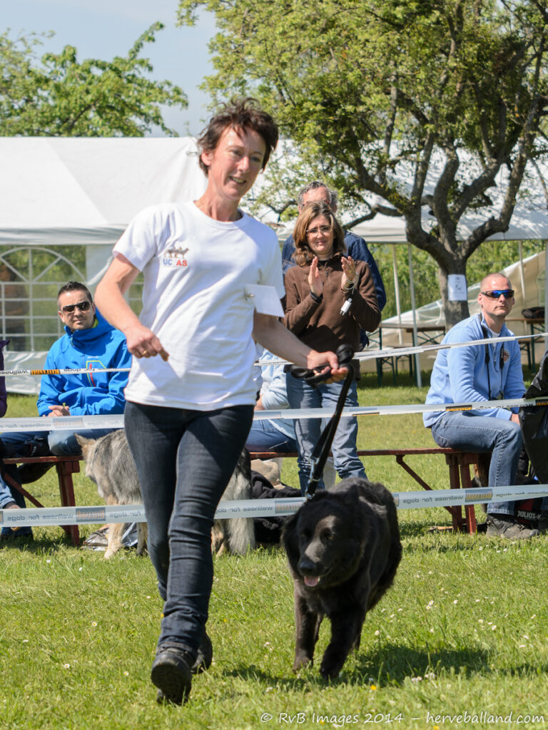 NE Boersch 2014-410