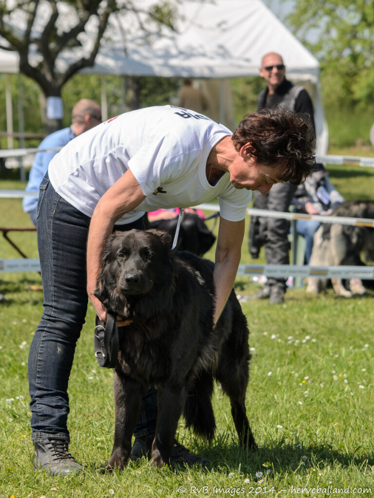 NE Boersch 2014-411