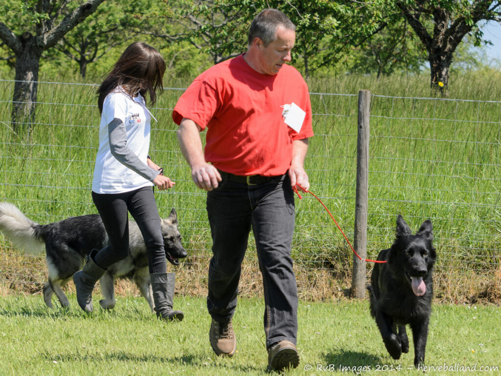 NE Boersch 2014-413