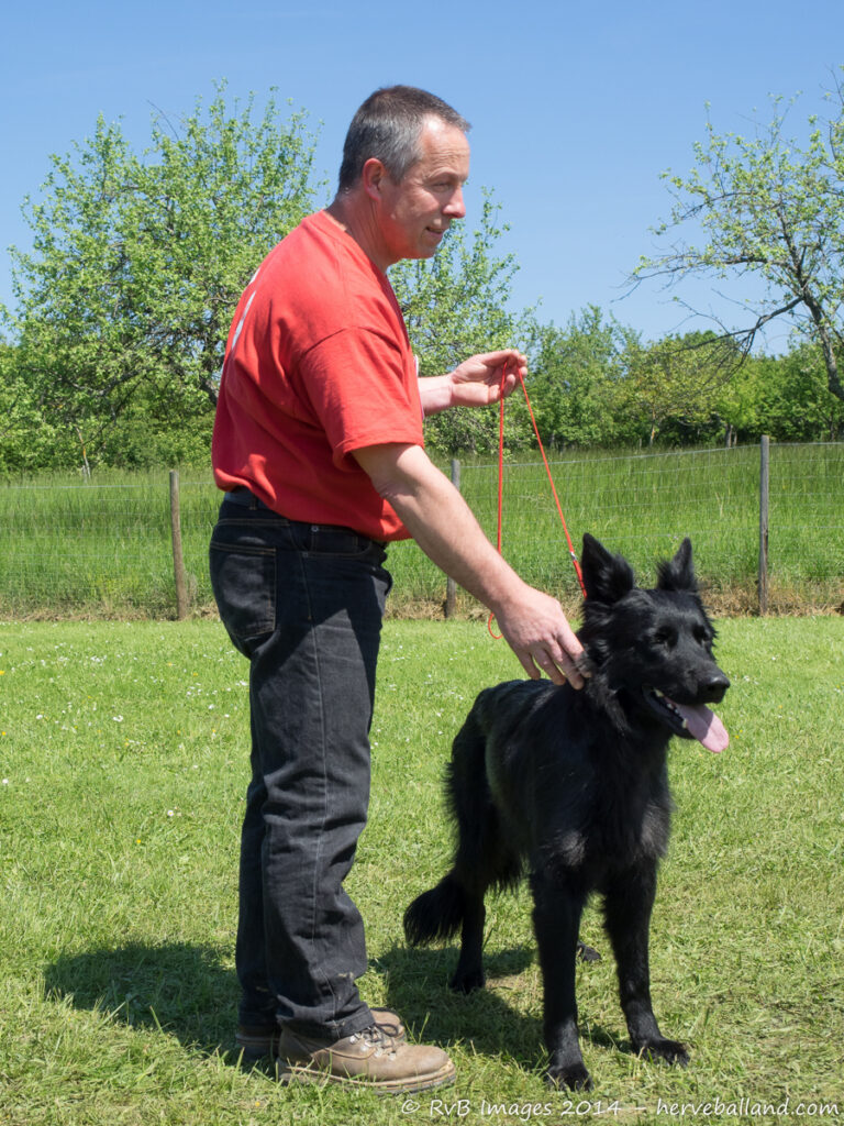 NE Boersch 2014-415