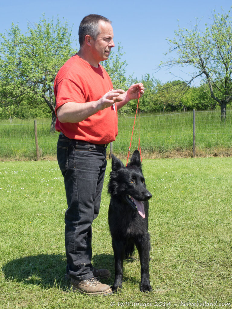 NE Boersch 2014-416