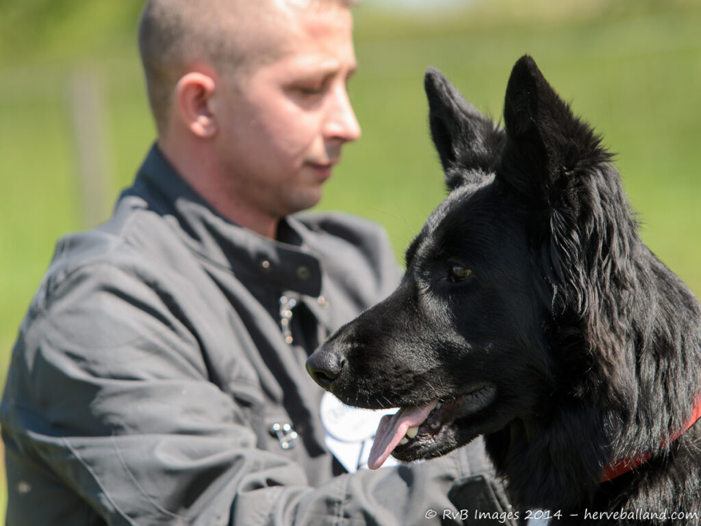 NE Boersch 2014-436