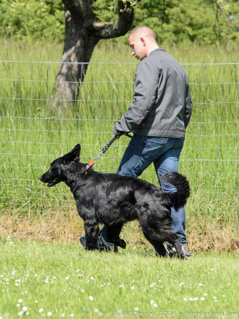 NE Boersch 2014-437