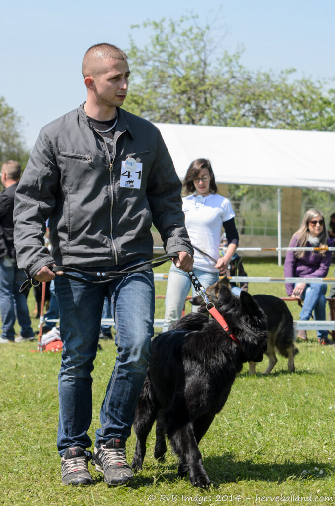 NE Boersch 2014-438