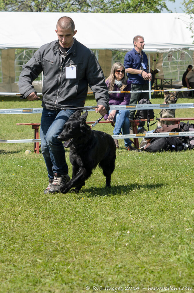 NE Boersch 2014-439