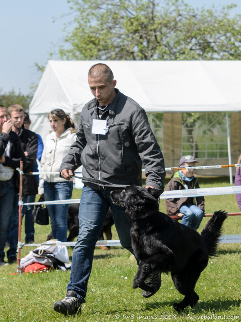 NE Boersch 2014-440